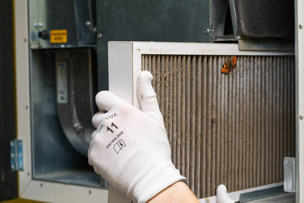 Best HVAC System Cleaning  in Oak Ridge, FL